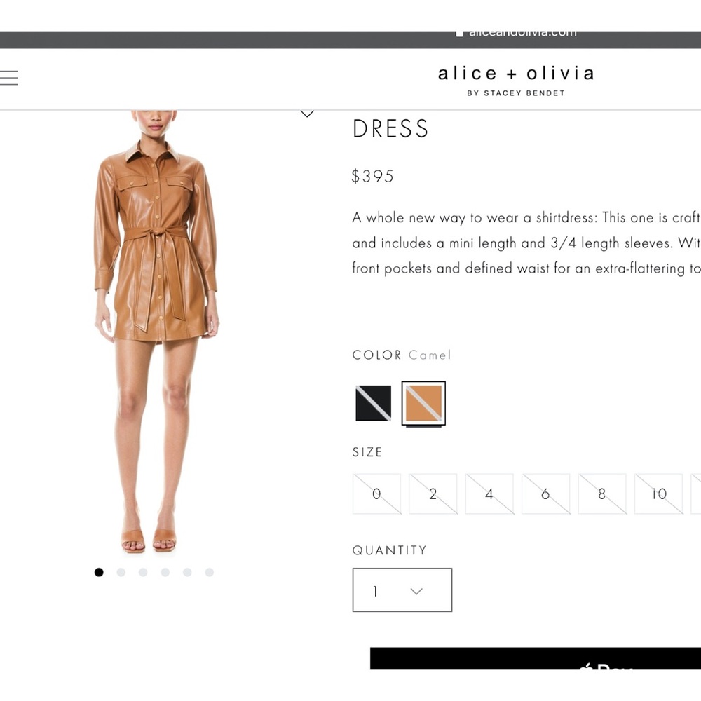 Alice + Olivia Miranda Vegan Leather Tie Waist Brown Mini Dress - Picture 3 of 16